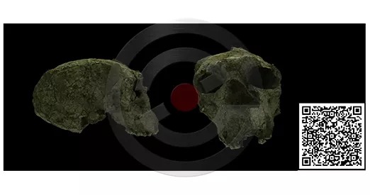 640 (10).jpg 640 (10).jpg