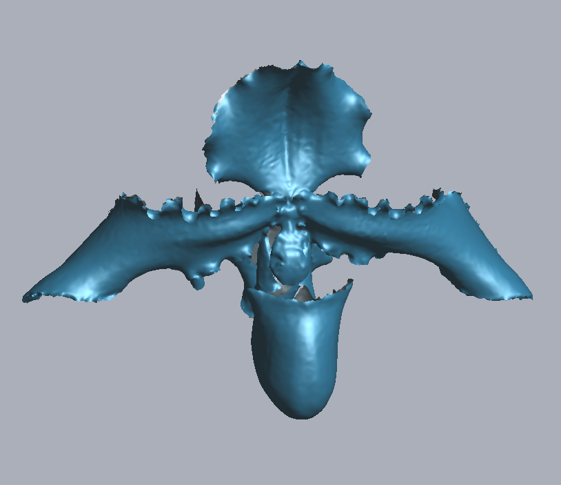 RigelScan三維激光掃描儀應(yīng)用于植物3D數(shù)據(jù)采集建模和存檔分析 RigelScan三維激光掃描儀應(yīng)用于植物3D數(shù)據(jù)采集建模和存檔分析