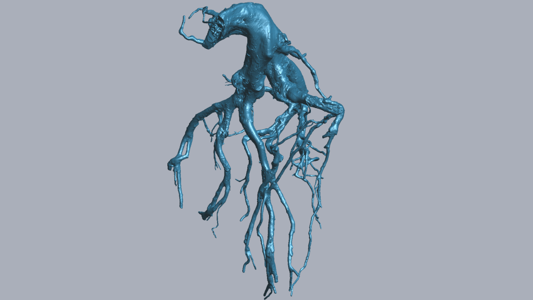 RigelScan三維激光掃描儀應(yīng)用于植物3D數(shù)據(jù)采集建模和存檔分析 RigelScan三維激光掃描儀應(yīng)用于植物3D數(shù)據(jù)采集建模和存檔分析