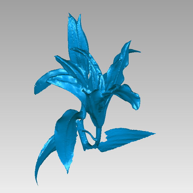 RigelScan三維激光掃描儀應(yīng)用于植物3D數(shù)據(jù)采集建模和存檔分析 RigelScan三維激光掃描儀應(yīng)用于植物3D數(shù)據(jù)采集建模和存檔分析