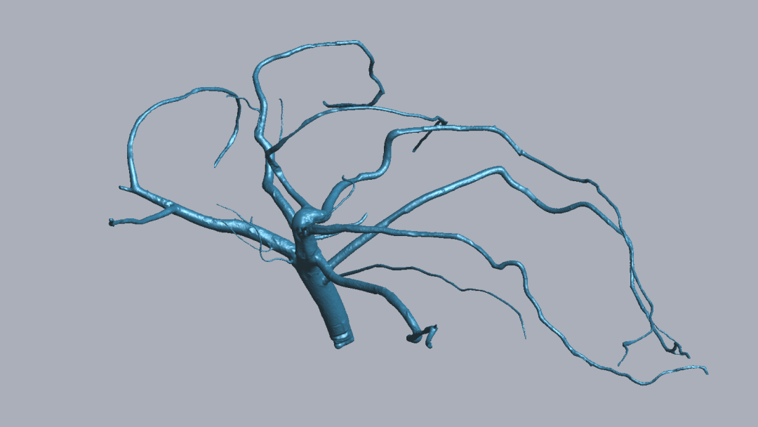 RigelScan三維激光掃描儀應(yīng)用于植物3D數(shù)據(jù)采集建模和存檔分析 RigelScan三維激光掃描儀應(yīng)用于植物3D數(shù)據(jù)采集建模和存檔分析