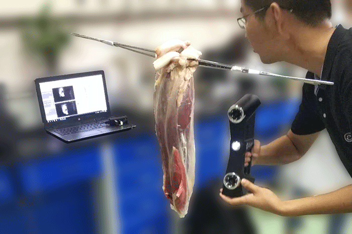 GScan三維掃描儀掃描肌肉組織 GScan三維掃描儀掃描肌肉組織